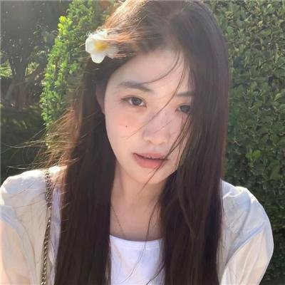 羊与钢的森林