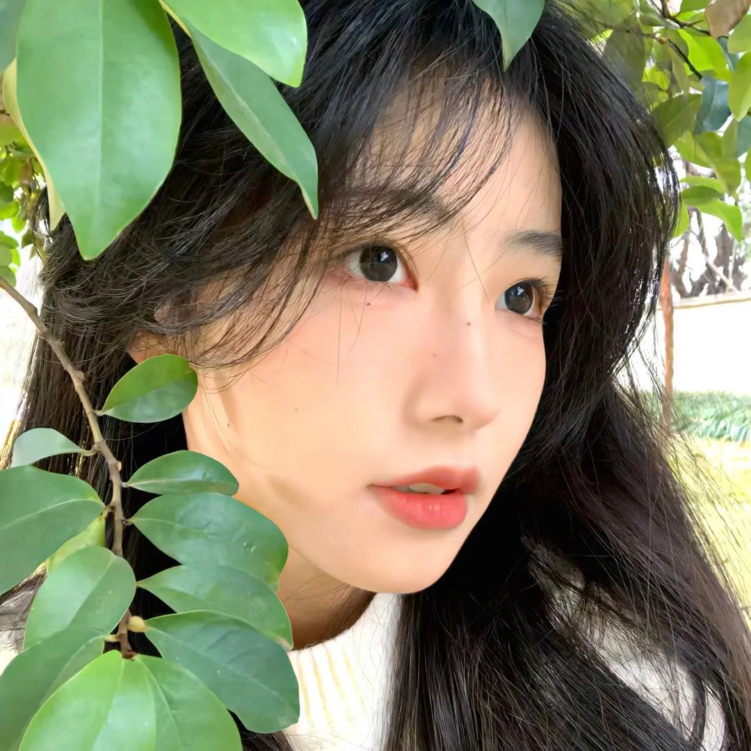 狗仔窥视界